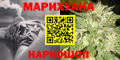 сатива Бузулук
