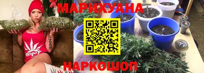 сатива Бузулук