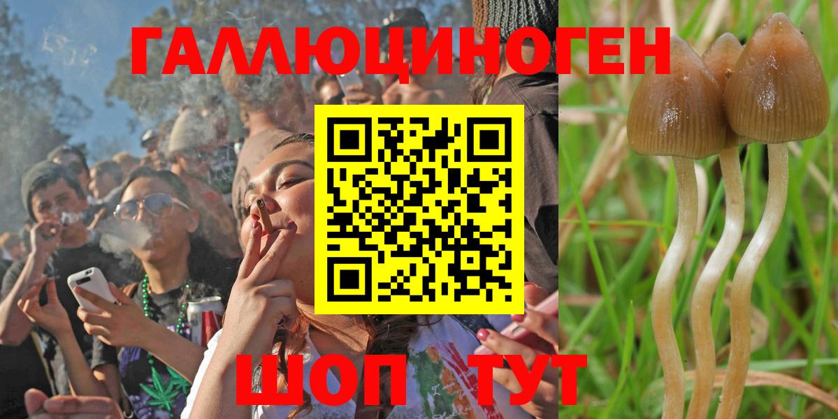 Галлюциногенные грибы мицелий  Вход с VPN  Тара 